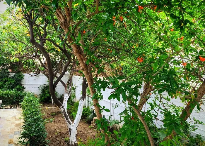 House With Garden In City Of Rhodes
